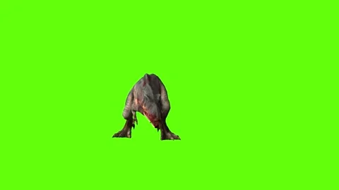 T-rex momma dinosaur roar green screen animation 3D rendering Stock Footage 280933062