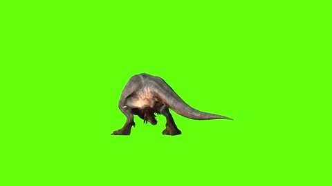 T-rex momma dinosaur roar right green screen animation 3D rendering Stock Footage 280933137
