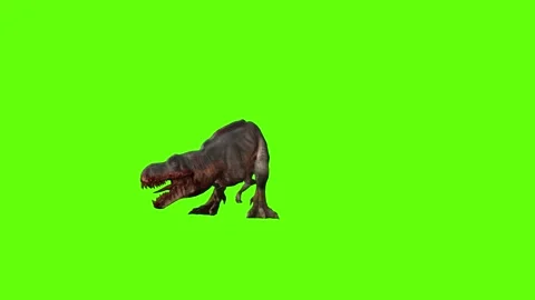 T-rex momma dinosaur roar right green screen animation 3D rendering Stock Footage 280933138