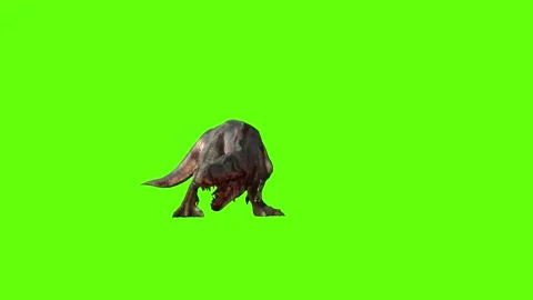 T-rex momma dinosaur roar right green screen animation 3D rendering Stock Footage 280933155