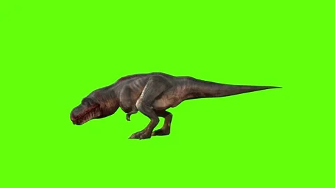 T-rex momma dinosaur roar step forward green screen animation 3D renderi Stock Footage 280933179