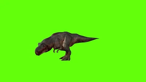 T-rex momma dinosaur roar step forward green screen animation 3D renderi Stock Footage 280933182