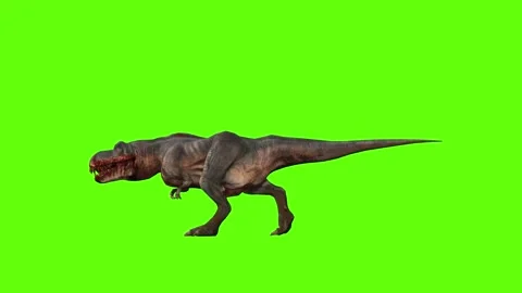 T-rex momma dinosaur run green screen animation 3D rendering Stock Footage 280933181