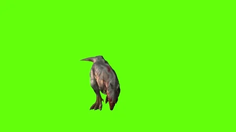 T-rex momma dinosaur run bite green screen animation 3D rendering Stock Footage 280933210