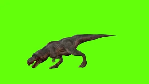 T-rex momma dinosaur run bite green screen animation 3D rendering Stock Footage 280933216