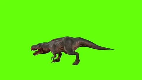 T-rex momma dinosaur run fast  head low green screen animation 3D render Stock Footage 280933225