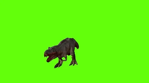 T-rex momma dinosaur run fast  head low green screen animation 3D render Stock Footage 280933226