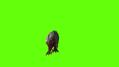 T-rex momma dinosaur run fast  head low green screen animation 3D render Stock Footage 280933231