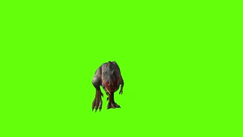 T-rex momma dinosaur run front stop  green screen animation 3D rendering Stock Footage 280934047