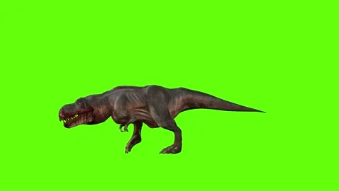 T-rex momma dinosaur run front stop  green screen animation 3D rendering Stock Footage 280934051