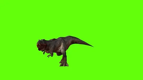 T-rex momma dinosaur run head butt left green screen animation 3D render Stock Footage 280934060