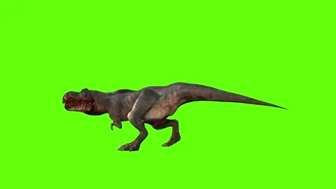 T-rex momma dinosaur run head butt green screen animation 3D rendering Stock Footage 280934086