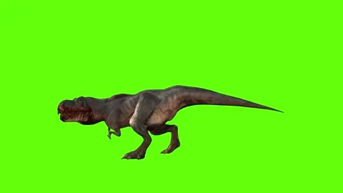 T-rex momma dinosaur run head butt left green screen animation 3D render Stock Footage 280934091