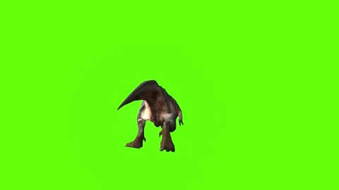T-rex momma dinosaur run head butt right  green screen animation 3D rende Stock Footage 281142289