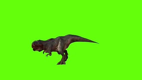 T-rex momma dinosaur run head butt right green screen animation 3D rende Stock Footage 281142359