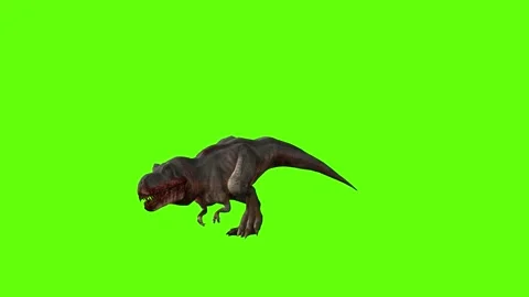 T-rex momma dinosaur run head low green screen animation 3D rendering Stock Footage 281142438