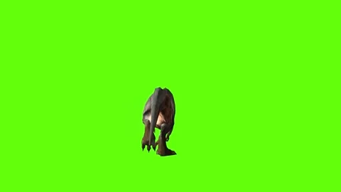 T-rex momma dinosaur run head low green screen animation 3D rendering Stock Footage 281142443