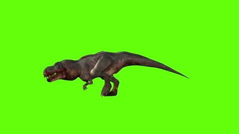 T-rex momma dinosaur run head low green screen animation 3D rendering Stock Footage 281142574