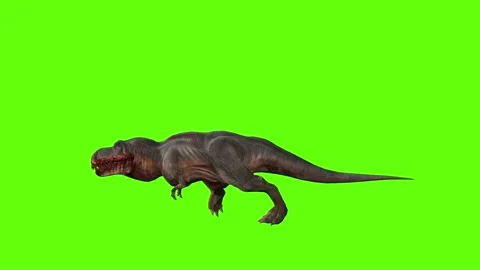 T-rex momma dinosaur sprint green screen animation 3D rendering Stock Footage 281142577