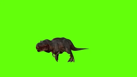 T-rex momma dinosaur sprint green screen animation 3D rendering Stock Footage 281142588