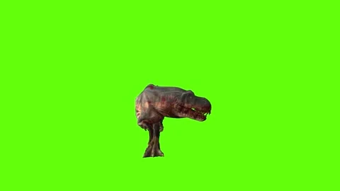 T-rex momma dinosaur sprint look left green screen animation 3D renderin Stock Footage 281142639