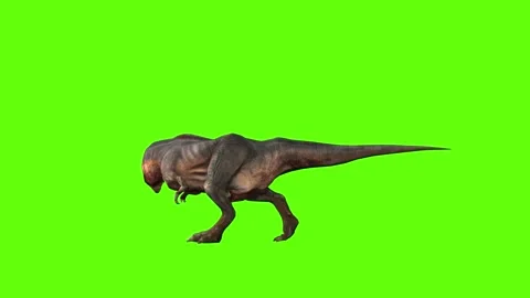 T-rex momma dinosaur sprint look right green screen animation 3D renderin Stock Footage 281142668