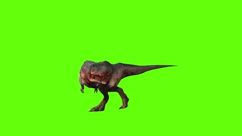 T-rex momma dinosaur sprint look left green screen animation 3D renderin Stock Footage 281142670