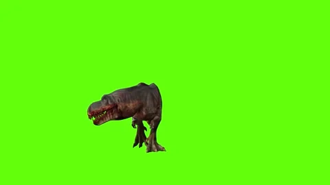T-rex momma dinosaur sprint look right green screen animation 3D renderin Stock Footage 281142875