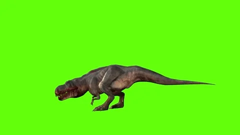 T-rex momma dinosaur step back green screen animation 3D rendering Stock Footage 281142890