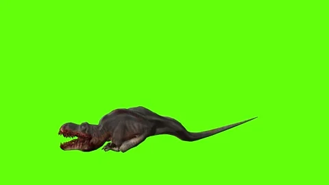 T-rex momma dinosaur stunned green screen animation 3D rendering Stock Footage 281143002