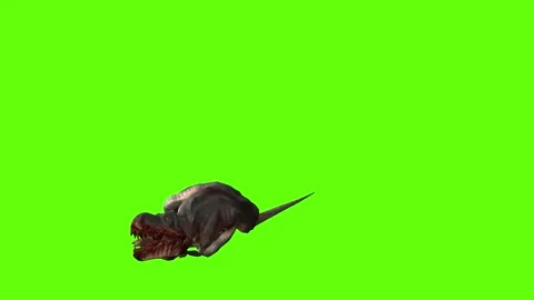 T-rex momma dinosaur stunned green screen animation 3D rendering Stock Footage 281143040
