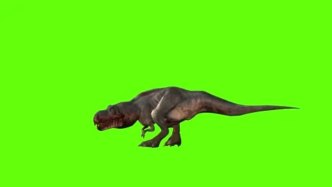 T-rex momma dinosaur turn 90 left green screen animation 3D rendering Stock Footage 281143007