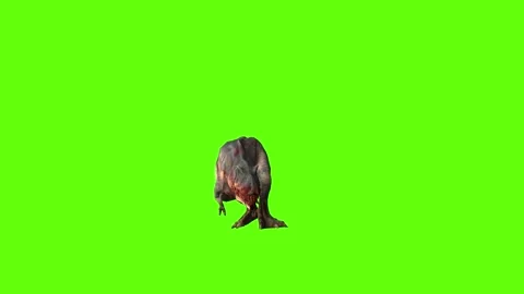 T-rex momma dinosaur turn 90 left green screen animation 3D rendering Stock Footage 281143066