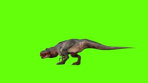 T-rex momma dinosaur turn 90 right green screen animation 3D rendering Stock Footage 281143089