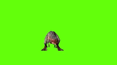 T-rex momma dinosaur turn 90 right green screen animation 3D rendering Stock Footage 281143092