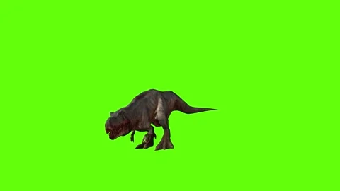 T-rex momma dinosaur turn 90 right green screen animation 3D rendering Stock Footage 281143093