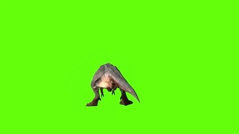 T-rex momma dinosaur turn 90 right green screen animation 3D rendering Stock Footage 281143095