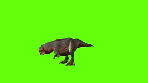 T-rex momma dinosaur turn 180 right look left green screen animation 3 Stock Footage 281143244