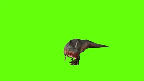 T-rex momma dinosaur turn 180  right look right green screen animation 3 Stock Footage 281143251