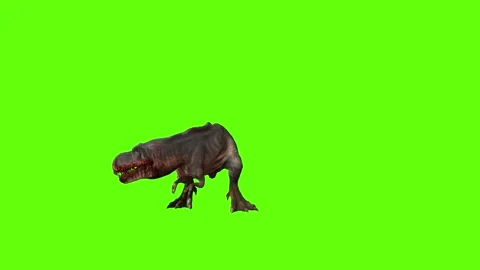 T-rex momma dinosaur turn 180  right look left green screen animation 3 Stock Footage 281143259