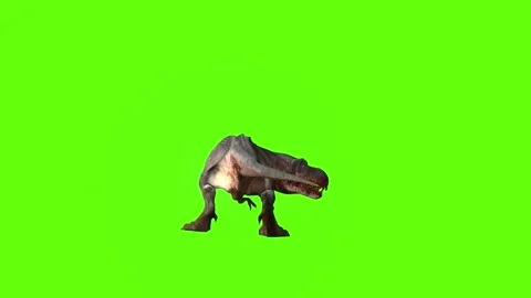 T-rex momma dinosaur turn 180  right look left green screen animation 3 Stock Footage 281143269