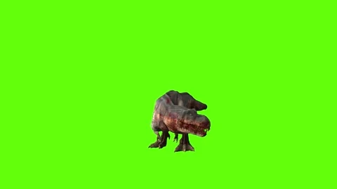 T-rex momma dinosaur turn 180  right look right green screen animation 3 Stock Footage 281143284