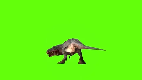 T-rex momma dinosaur turn 180  right look right green screen animation 3 Stock Footage 281143322
