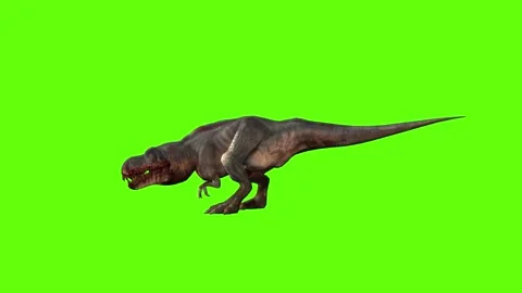 T-rex momma dinosaur turn 180 left green screen animation 3D rendering Stock Footage 281143389