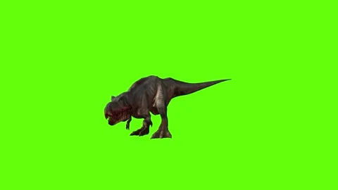 T-rex momma dinosaur turn 180 left green screen animation 3D rendering Stock Footage 281143390