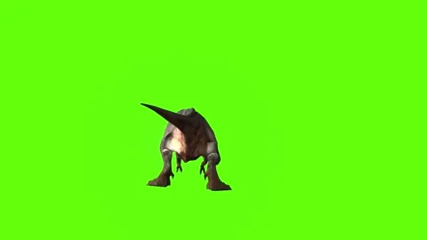T-rex momma dinosaur turn 180 left green screen animation 3D rendering Stock Footage 281143391