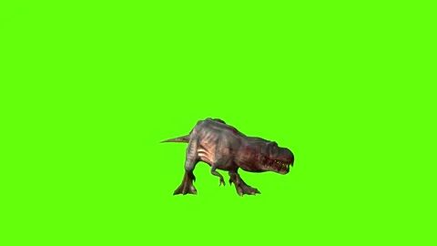 T-rex momma dinosaur turn 180  right look right green screen animation 3 Stock Footage 281143535