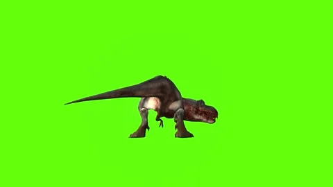 T-rex momma dinosaur turn 180 left look left green screen animation 3D  Stock Footage 281143601