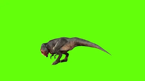 T-rex momma dinosaur turn 180 left look right green screen animation 3D Video stock 281143636