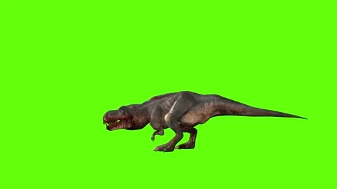 T-rex momma dinosaur turn 180 right green screen animation 3D rendering Stock Footage 281143657
